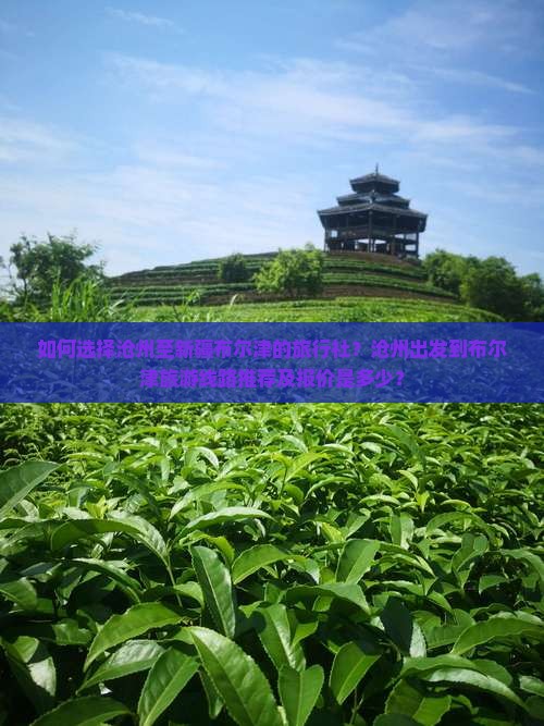 如何选择沧州至新疆布尔津的旅行社？沧州出发到布尔津旅游线路推荐及报价是多少？