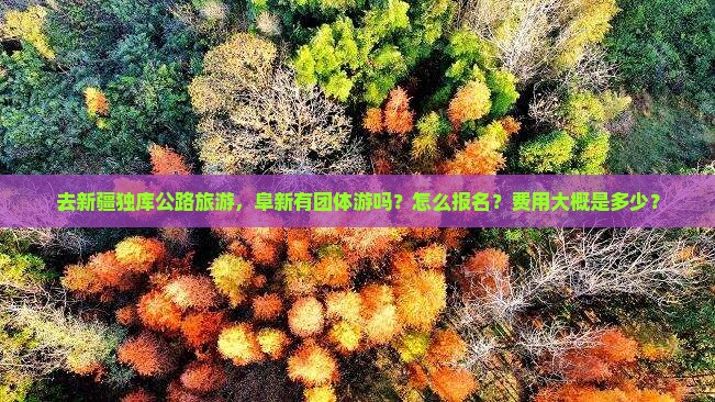 去新疆独库公路旅游，阜新有团体游吗？怎么报名？费用大概是多少？
