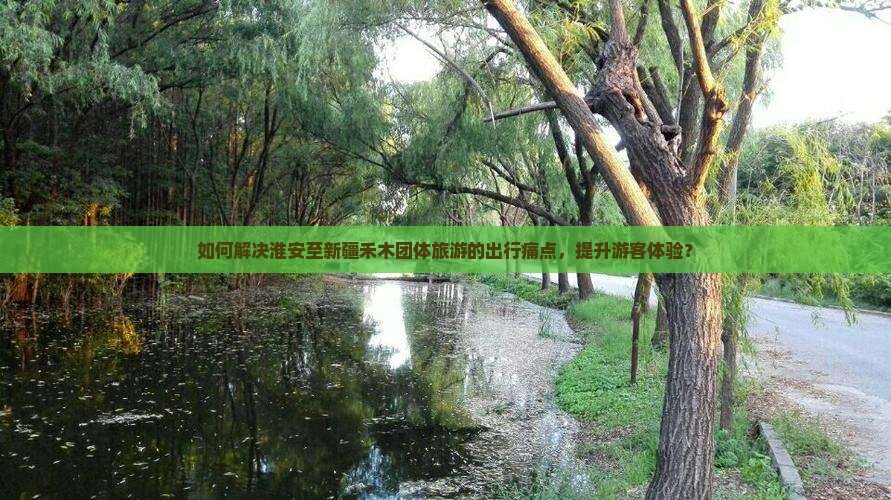 如何解决淮安至新疆禾木团体旅游的出行痛点，提升游客体验？