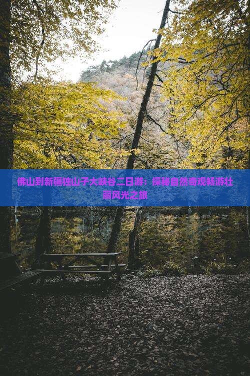 佛山到新疆独山子大峡谷二日游：探秘自然奇观畅游壮丽风光之旅