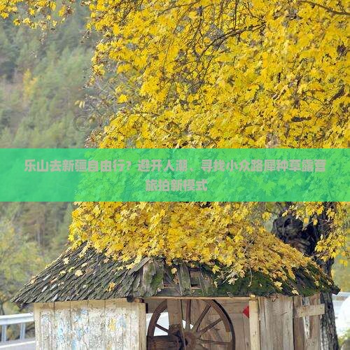 乐山去新疆自由行？避开人潮、寻找小众路犀种草露营+旅拍新模式