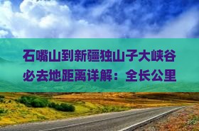 石嘴山到新疆独山子大峡谷必去地距离详解：全长公里数指南