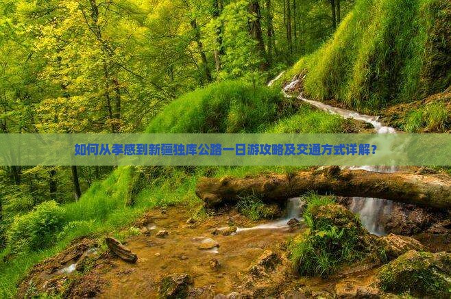 如何从孝感到新疆独库公路一日游攻略及交通方式详解？