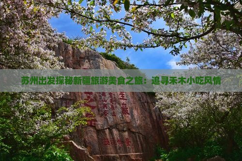 苏州出发探秘新疆旅游美食之旅：追寻禾木小吃风情