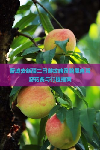 晋城去新疆二日游攻略及路犀自驾游花费与行程指南