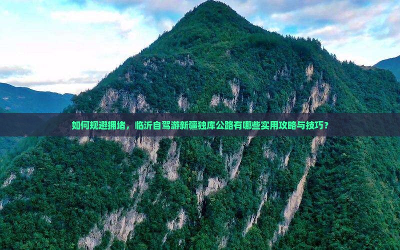 如何规避拥堵，临沂自驾游新疆独库公路有哪些实用攻略与技巧？