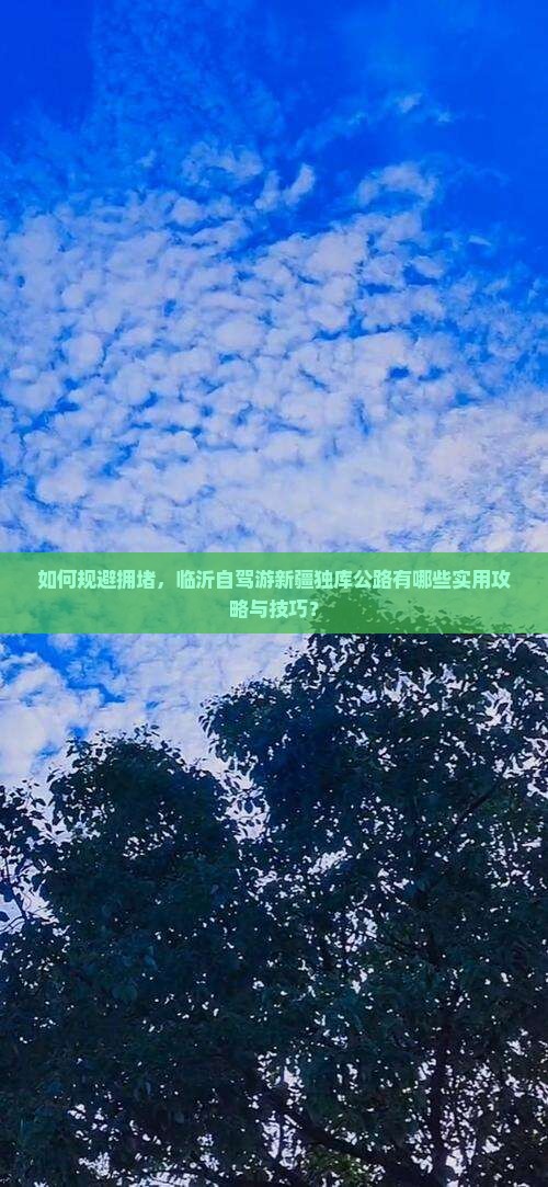 如何规避拥堵，临沂自驾游新疆独库公路有哪些实用攻略与技巧？