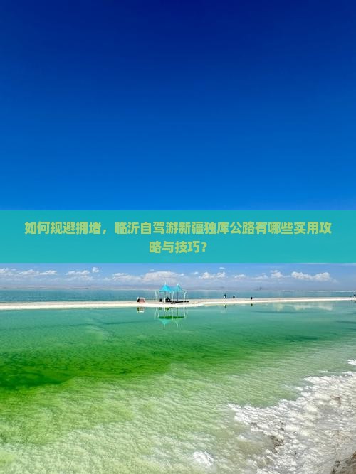 如何规避拥堵，临沂自驾游新疆独库公路有哪些实用攻略与技巧？