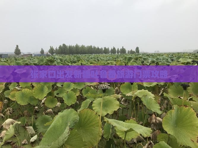 张家口出发新疆吐鲁番旅游门票攻略