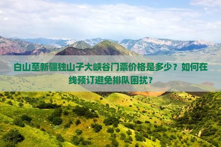 白山至新疆独山子大峡谷门票价格是多少？如何在线预订避免排队困扰？