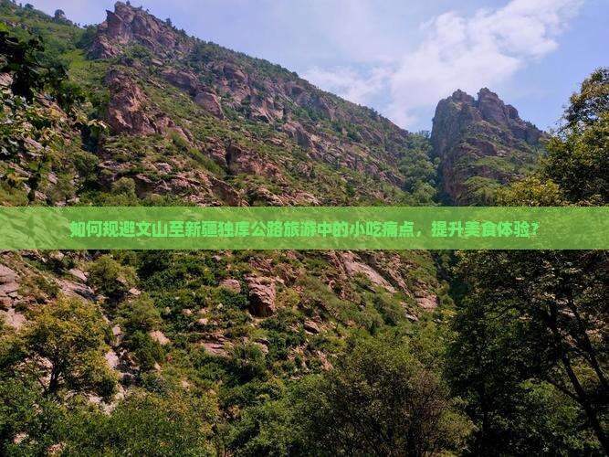 如何规避文山至新疆独库公路旅游中的小吃痛点，提升美食体验？