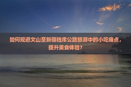 如何规避文山至新疆独库公路旅游中的小吃痛点，提升美食体验？