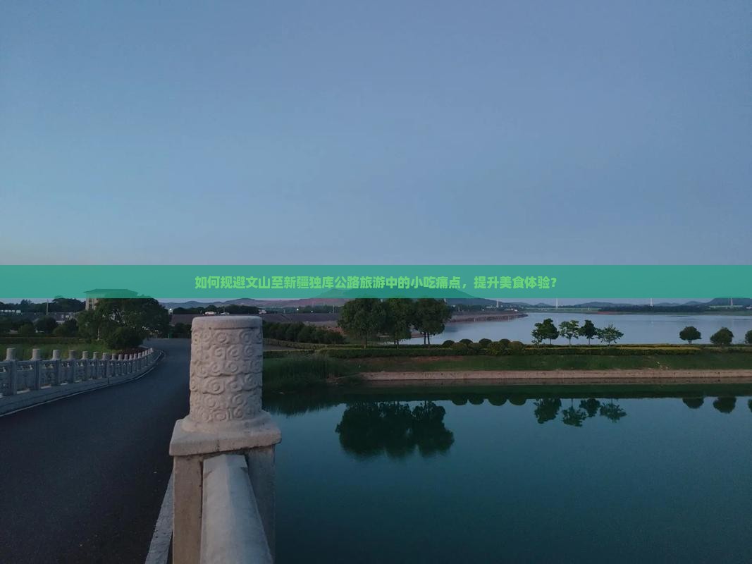 如何规避文山至新疆独库公路旅游中的小吃痛点，提升美食体验？