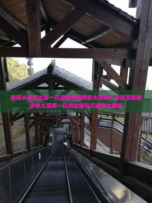 如何从南京出发一日游至新疆伊犁大草原？南京至新疆伊犁大草原一日游攻略与交通方式解析