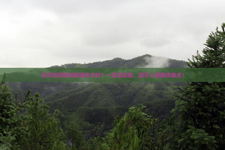 秋天如何畅游新疆禾木村？一日游攻略，避开人潮拥挤痛点！