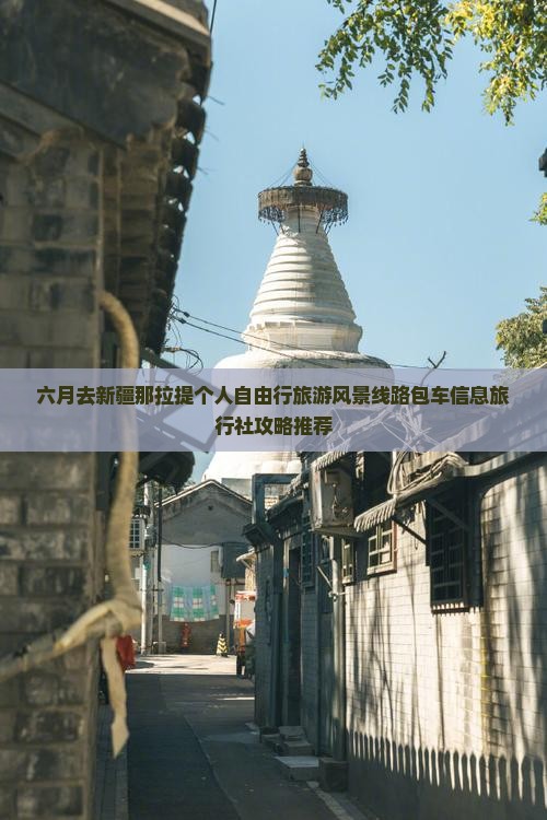 六月去新疆那拉提个人自由行旅游风景线路包车信息旅行社攻略推荐