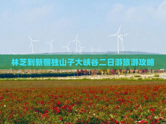 林芝到新疆独山子大峡谷二日游旅游攻略