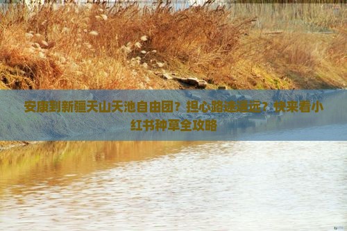 安康到新疆天山天池自由团？担心路途遥远？快来看小红书种草全攻略
