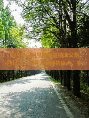 如何规划阿里至新疆独库公路四日游，避开人潮拥挤痛点，实现深度游体验？
