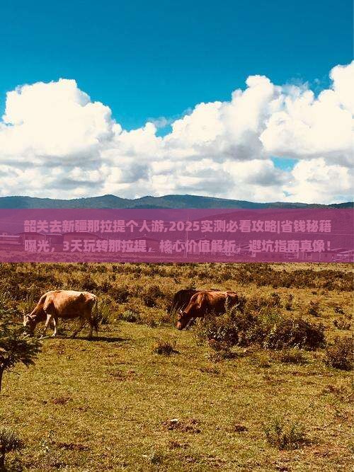 韶关去新疆那拉提个人游