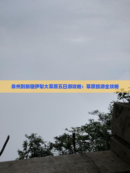 泉州到新疆伊犁大草原五日游