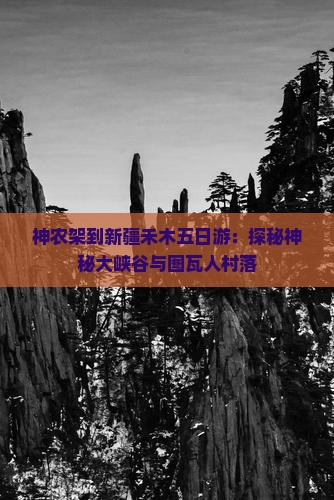 神农架到新疆禾木五日游
