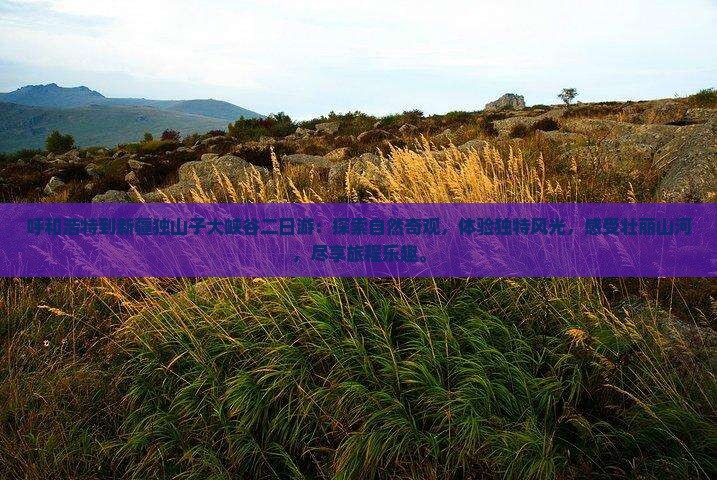 呼和浩特到新疆独山子大峡谷二日游
