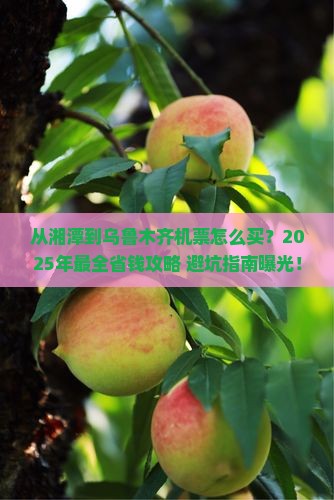 湘潭去新疆乌鲁木齐门票