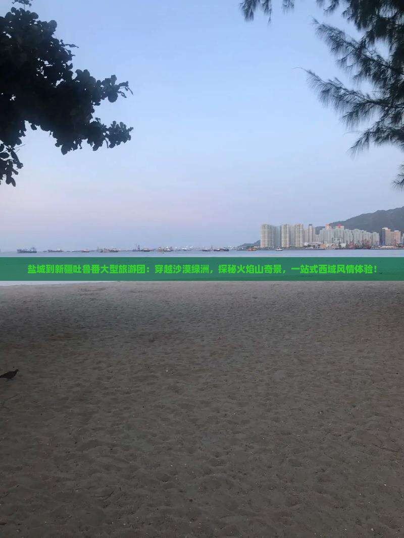 盐城到新疆吐鲁番大型旅游团