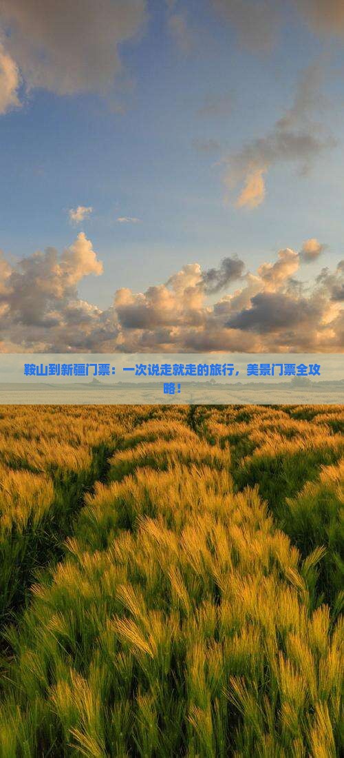 鞍山到新疆门票