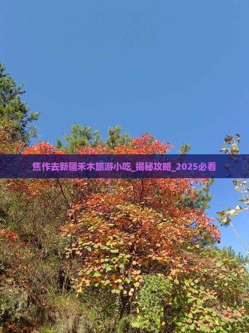 焦作去新疆禾木旅游小吃