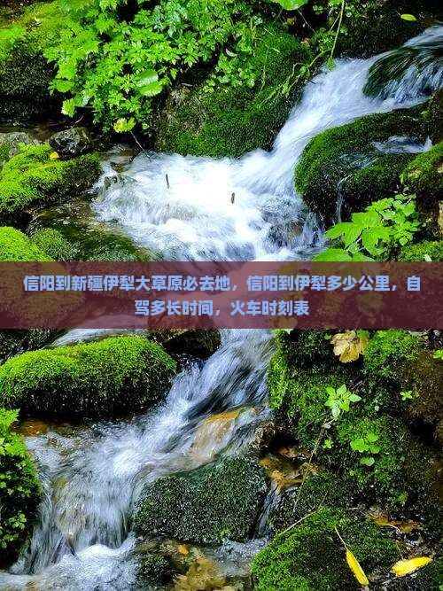 信阳到新疆伊犁大草原必去地
