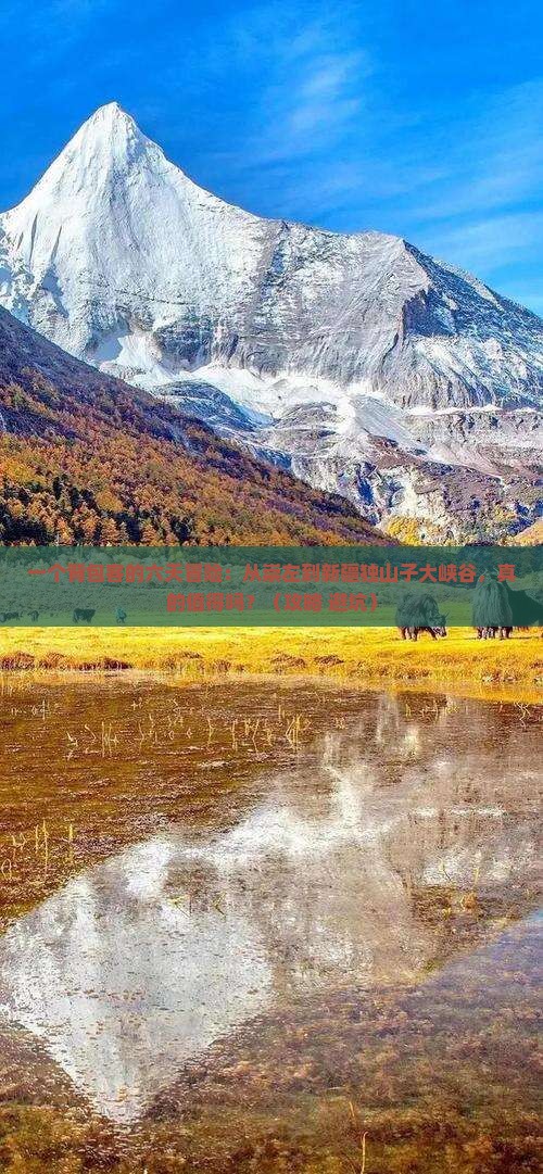 崇左到新疆独山子大峡谷六日游