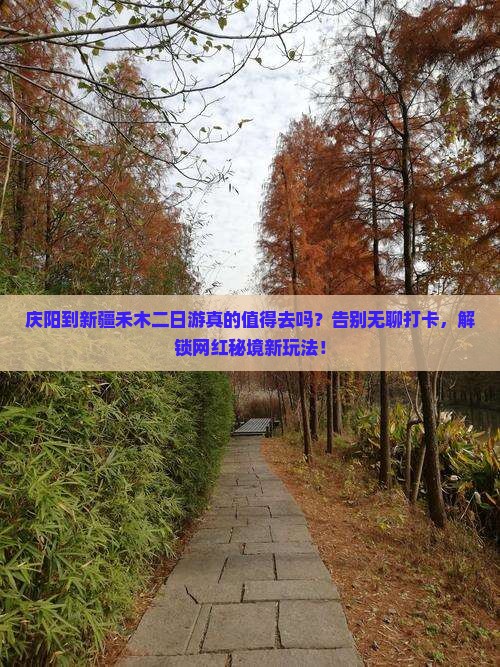 庆阳到新疆禾木二日游