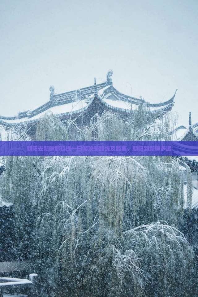 朝阳去新疆那拉提一日