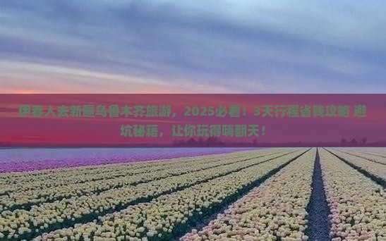 伊春去新疆乌鲁木齐旅游