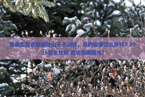 娄底到新疆独山子大峡谷大型旅游团