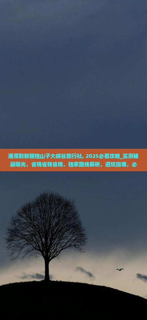 湘潭到新疆独山子大峡谷旅行社