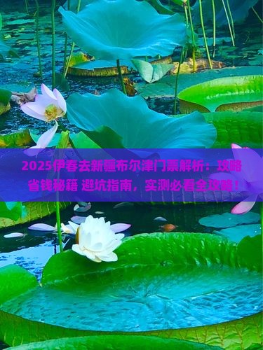 伊春去新疆布尔津门票