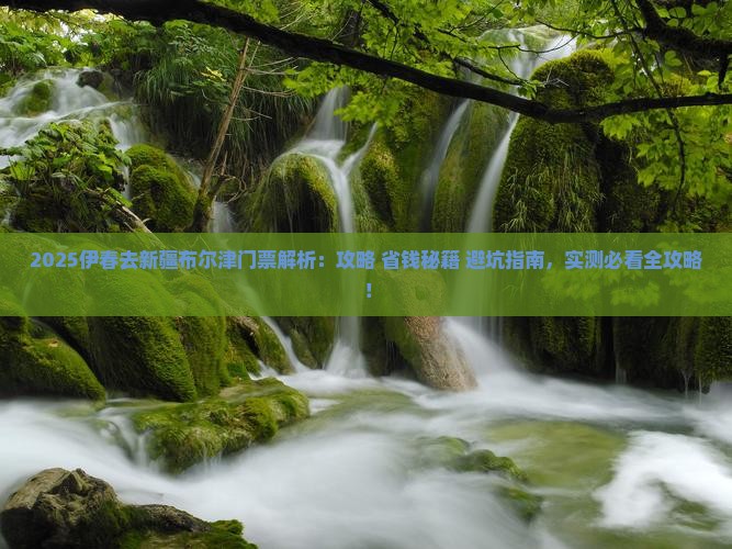 伊春去新疆布尔津门票