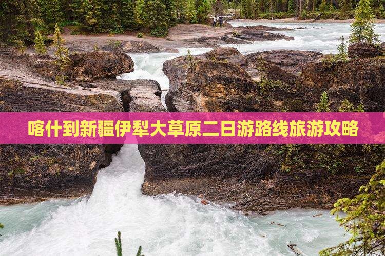 喀什去新疆伊犁大草原二日游