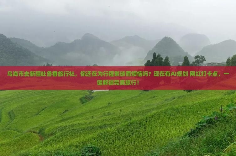 乌海市去新疆吐鲁番旅行社