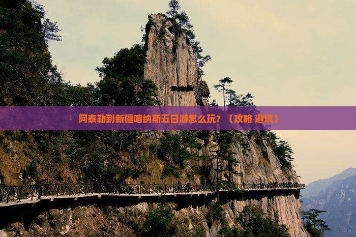 阿泰勒到新疆喀纳斯五日游