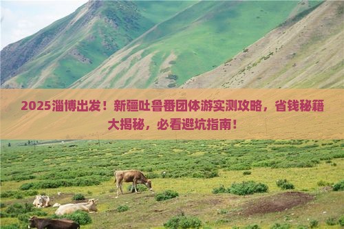 淄博到新疆吐鲁番团体旅游