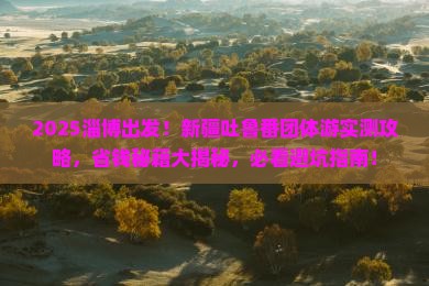 淄博到新疆吐鲁番团体旅游