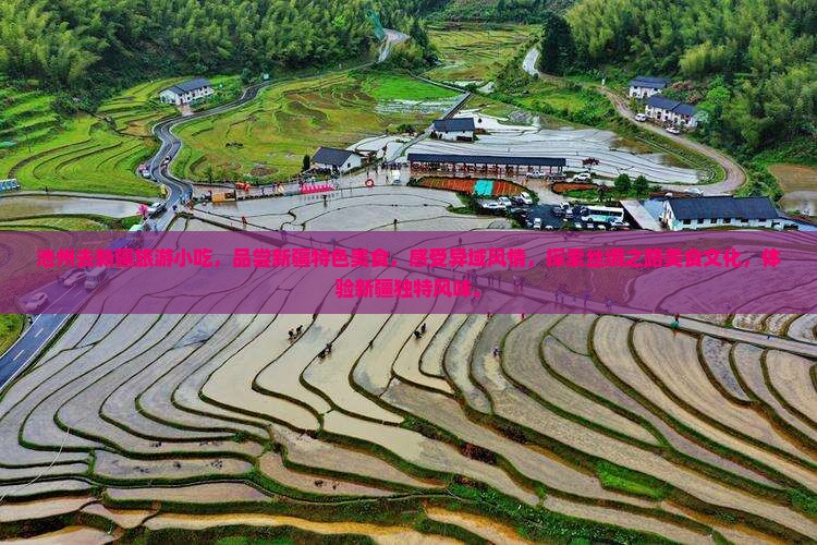 池州去新疆旅游小吃