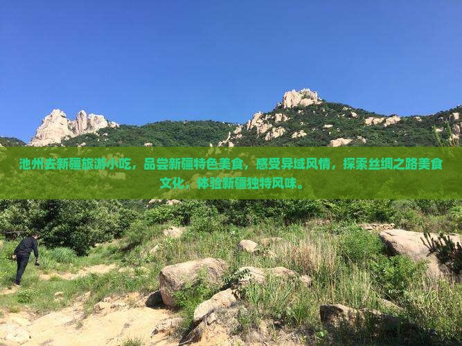 池州去新疆旅游小吃