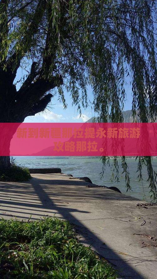 永新去新疆那拉提个人游