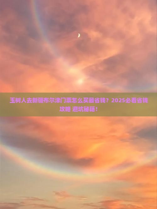 玉树去新疆布尔津门票