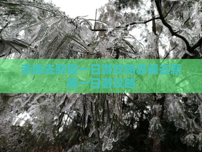 赤峰去新疆一日